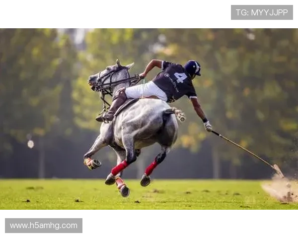 体育皇冠官网客户端下载官方版本，开启属于你的精彩体育盛宴