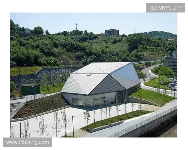 回力球场平面图审查与优化方案提升场馆使用效率